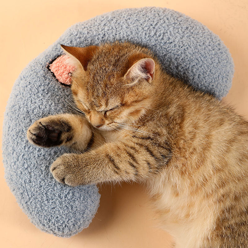 Cozy Beds & Comfort