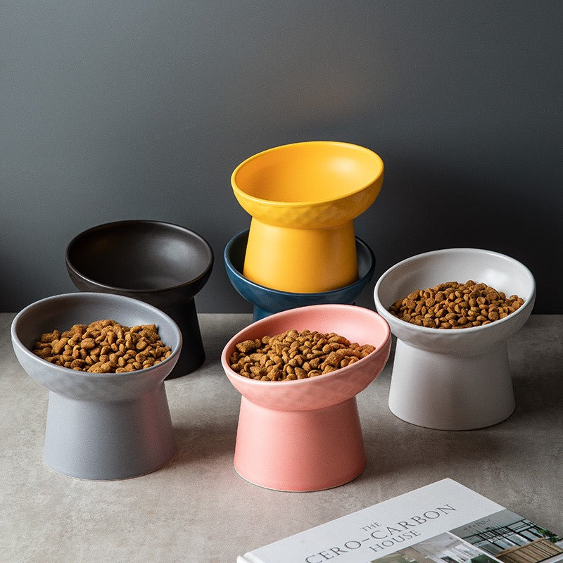 Ceramic Elevated Cat Bowl — Anti-Tip Tilted Food & Water Bowl