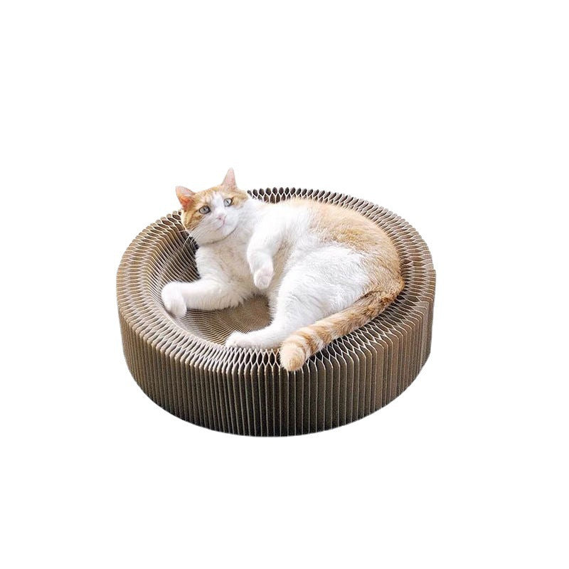 Accordion Cat Scratcher Toy – Interactive & Foldable