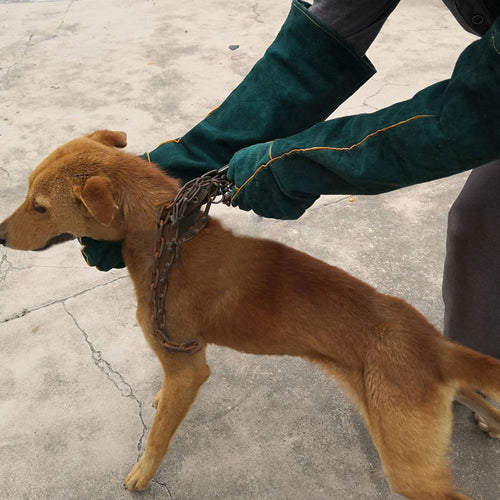 Bite-Resistant Pet Handling Gloves – Protective Anti-Scratch & Anti-Bite Gloves