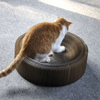 Brinquedo Arranhador de Gato Acordeão – Interativo e Dobrável