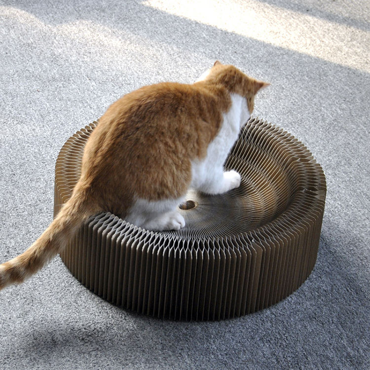 Accordion Cat Scratcher Toy – Interactive & Foldable